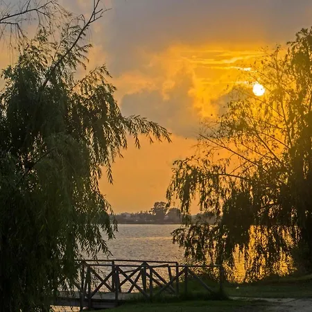 River Dreams