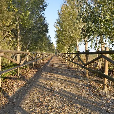River Dreams Bed and breakfast Deltebre
