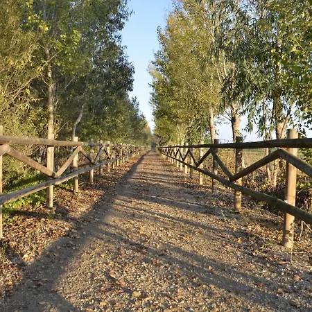 River Dreams Bed and breakfast Deltebre
