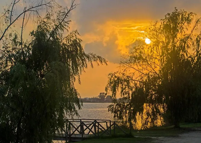 River Dreams