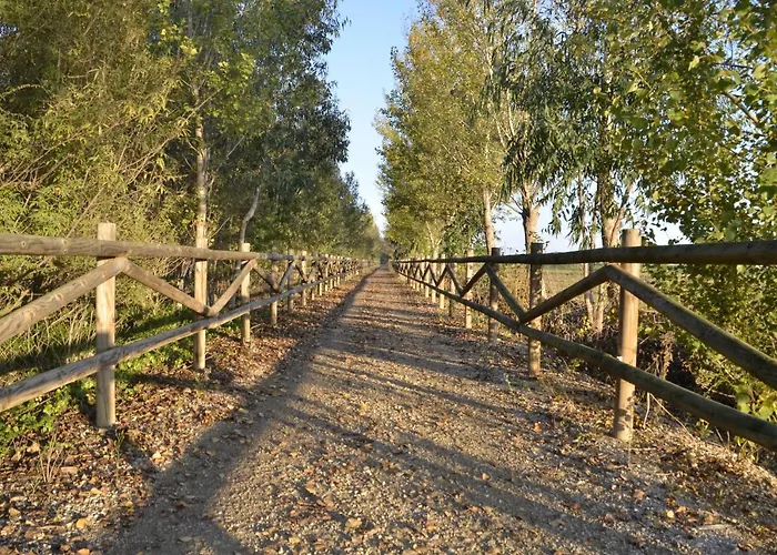 River Dreams Oda ve Kahvaltı Deltebre